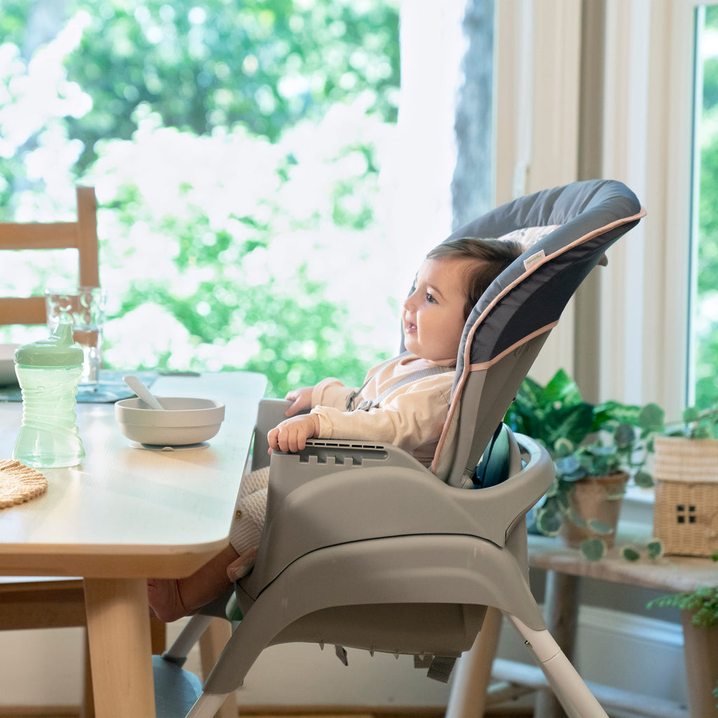 6-in-1 High Chair V513233