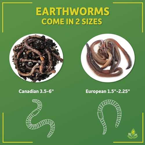12 count Live Feed Reptile Food I942784