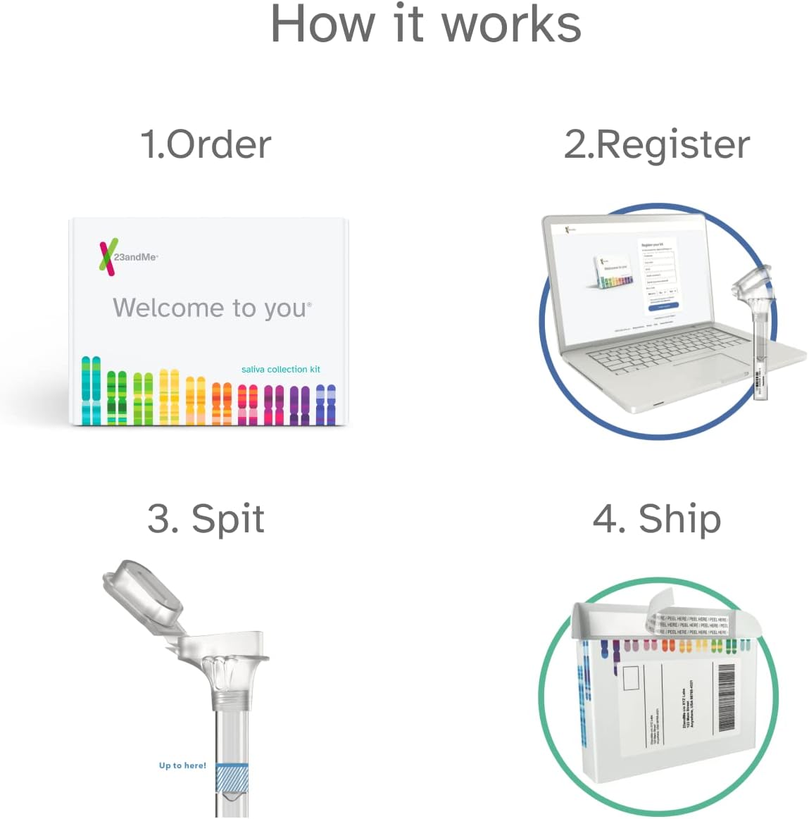 Health + Ancestry Personal Genetic DNA Test M808