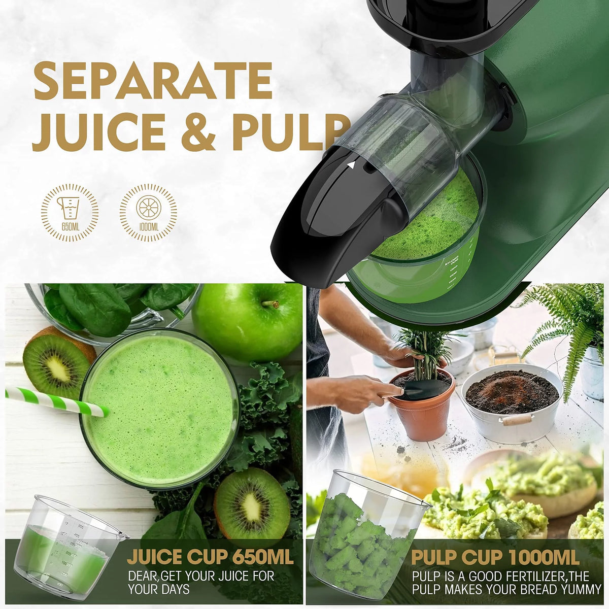 Slow Masticating Cold Press Juicer D29321