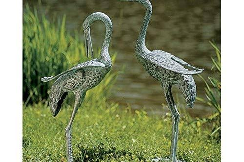 Preening Crane Y25642