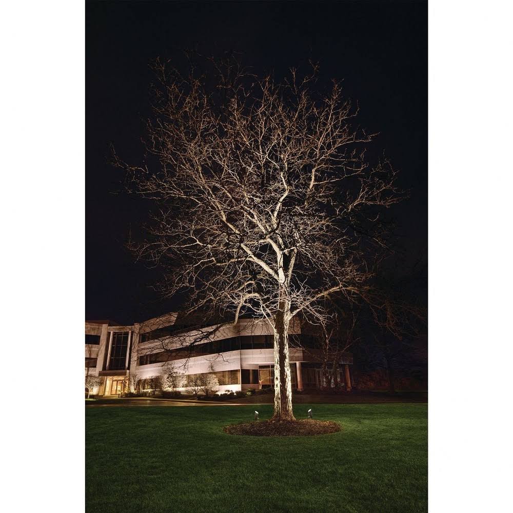 Textured Black LED Landscape Accent Light B8844