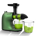 Slow Masticating Cold Press Juicer D29321