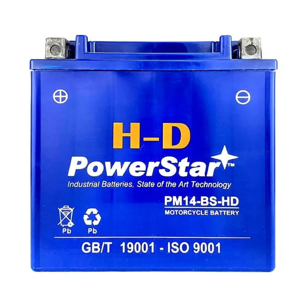 12V 14Ah Battery for Triumph 955cc 2002 Tiger Motorcycle N486251
