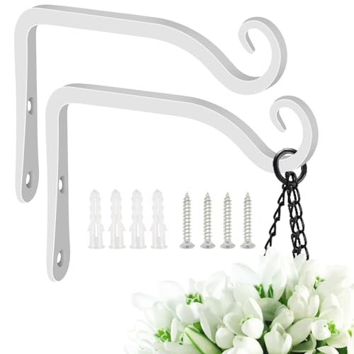 Black 10 Inch 2 Pack Wall Hook Hanging Plant Bracket F810102