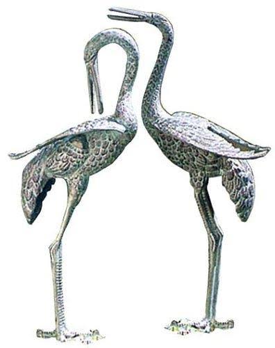 Preening Crane Y25642