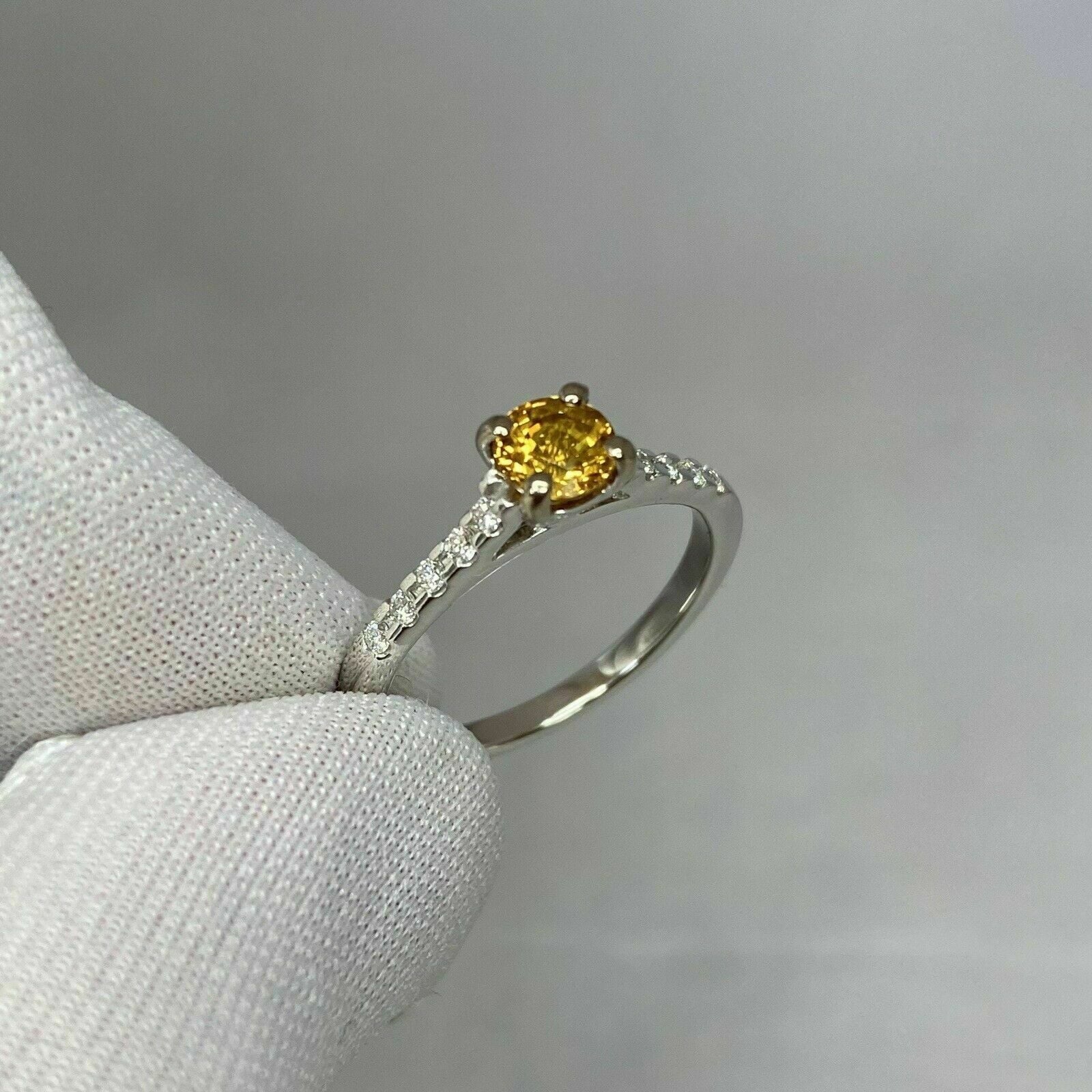 18k White Gold Plated Sapphire Diamond Ring W1879