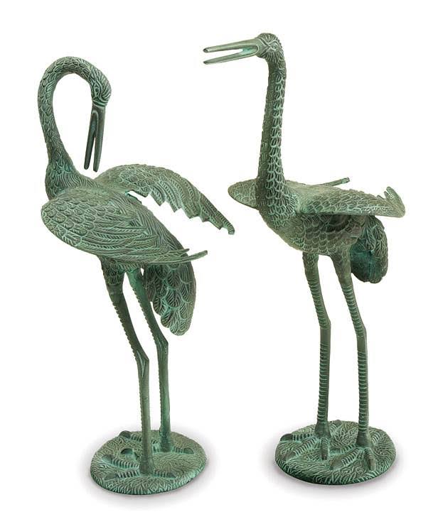 Preening Crane Y25642