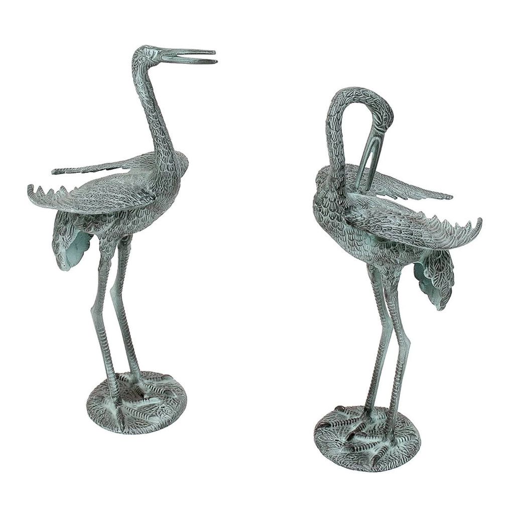 Preening Crane Y25642
