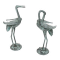 Preening Crane Y25642