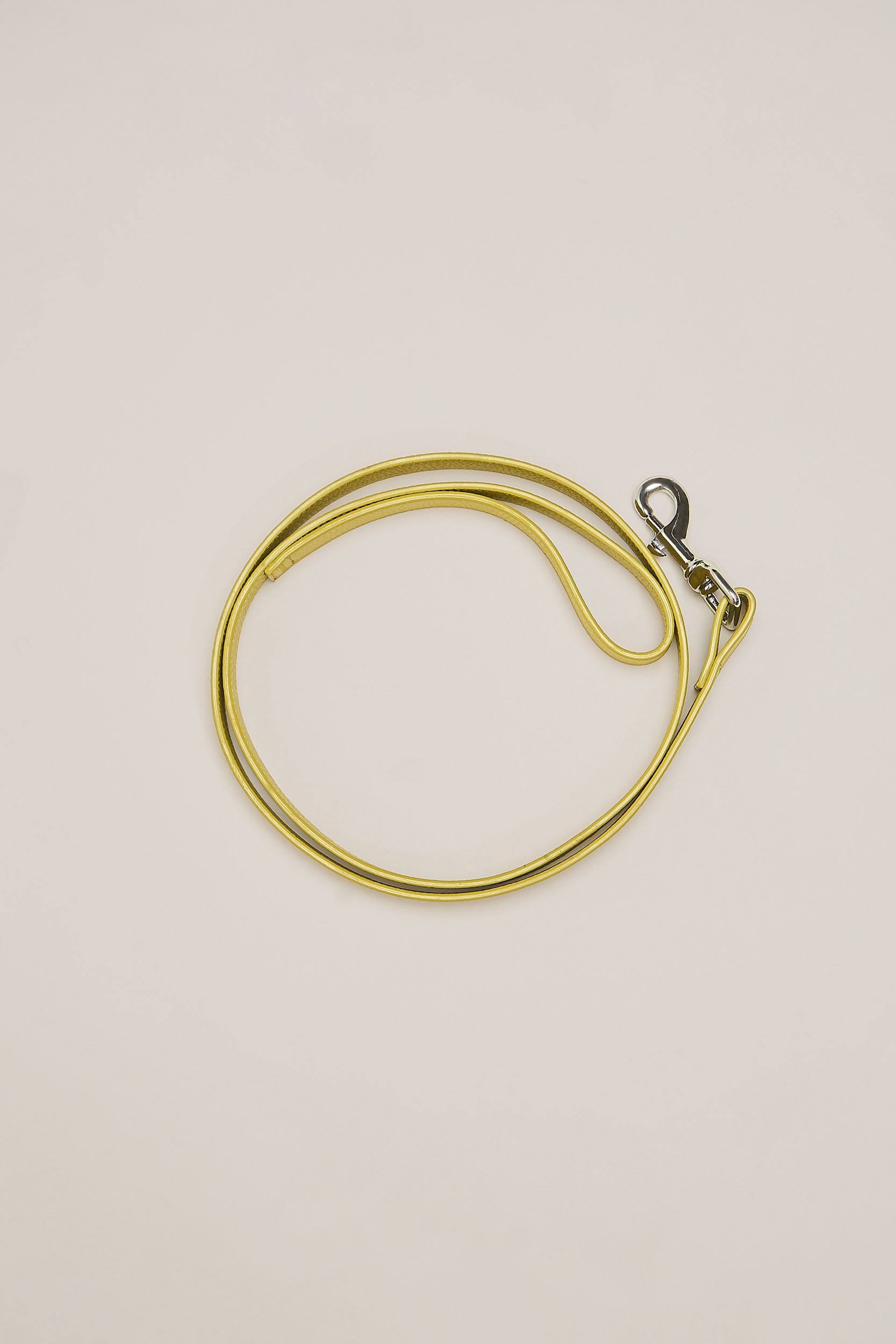 Chartreuse Dog Leash L61036