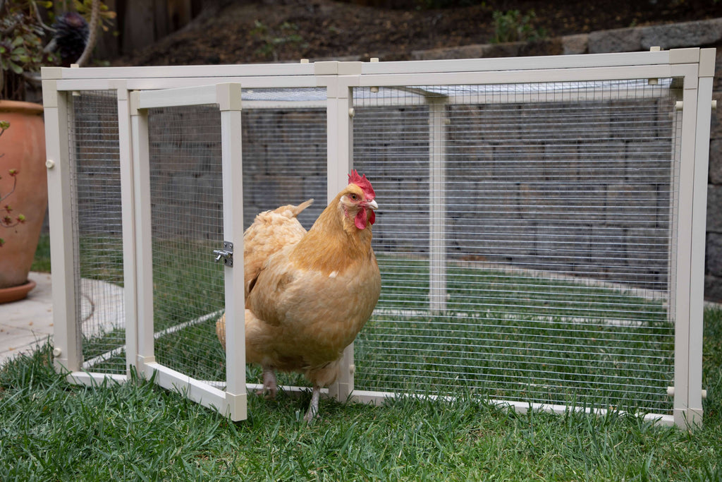 Chicken Pen X2425