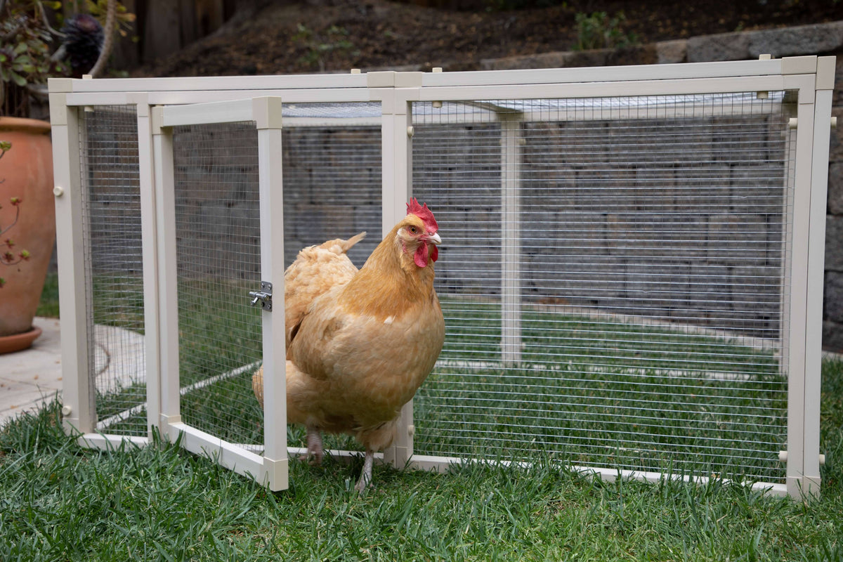 Chicken Pen X2425