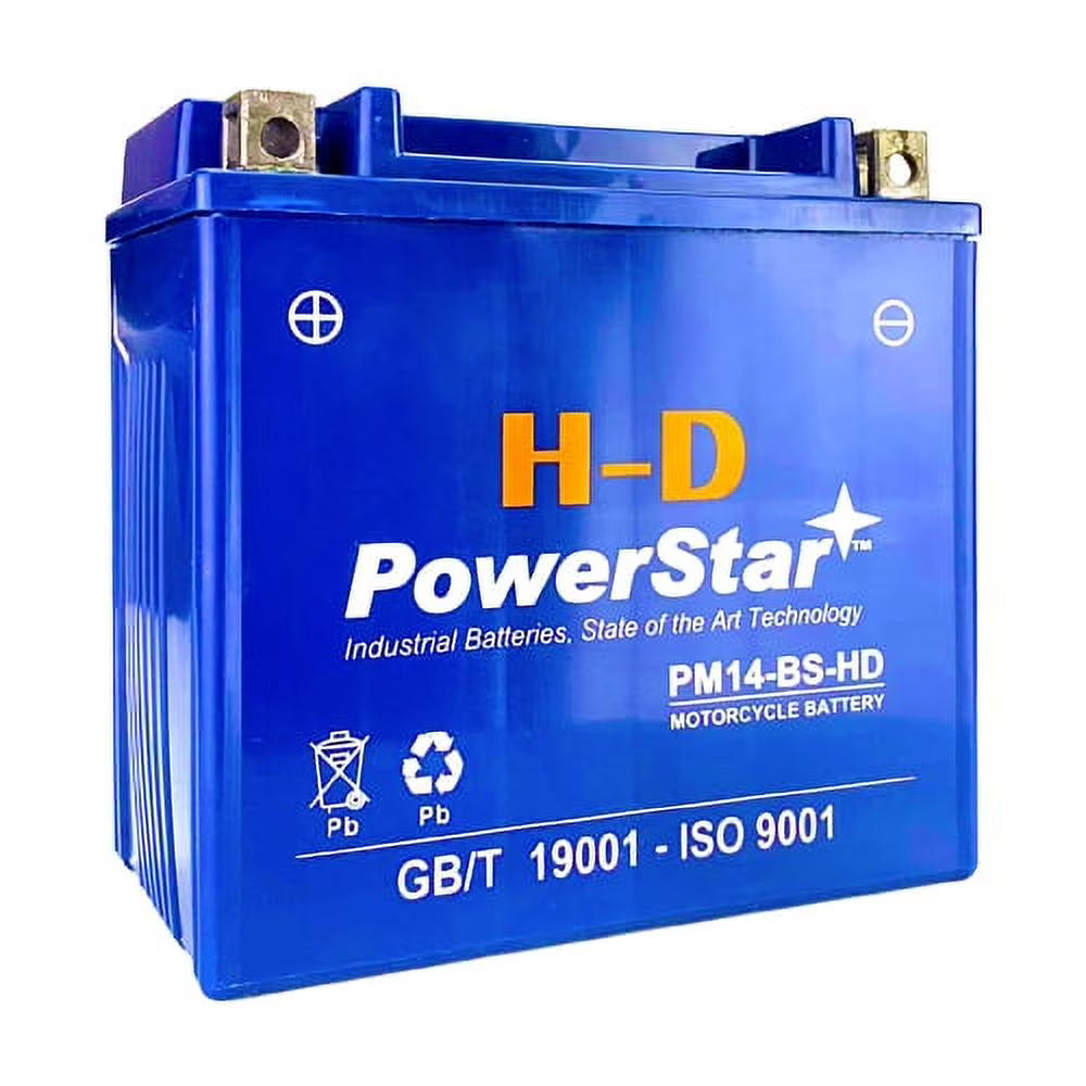 12V 14Ah Battery for Triumph 955cc 2002 Tiger Motorcycle N486251