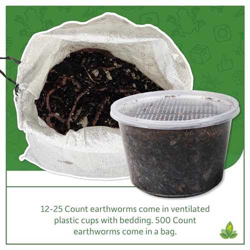 12 count Live Feed Reptile Food I942784
