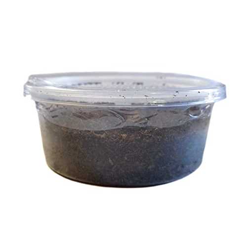 12 count Live Feed Reptile Food I942784