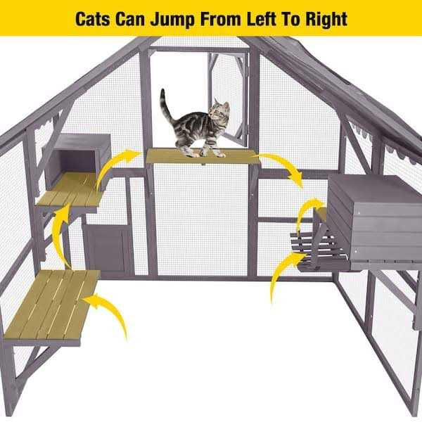 Outdoor Cat Run X429248