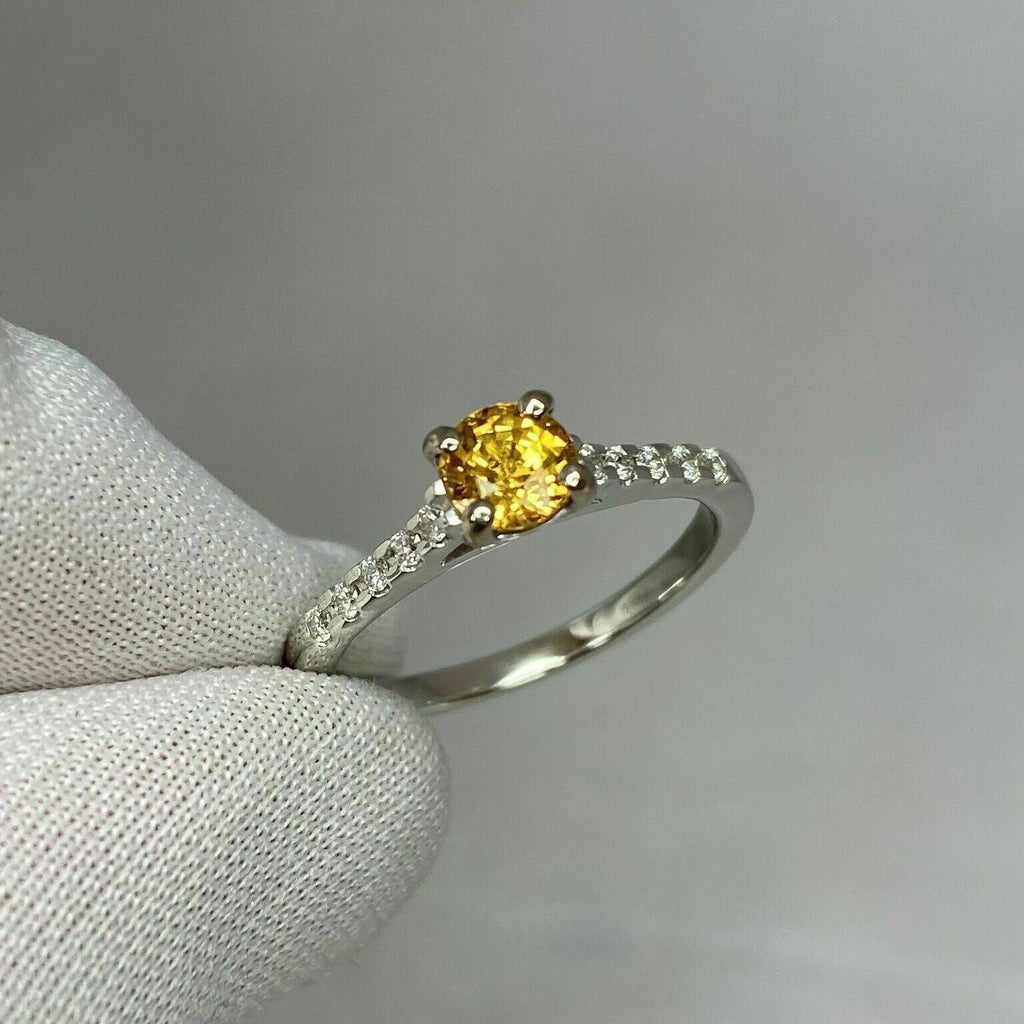 18k White Gold Plated Sapphire Diamond Ring W1879