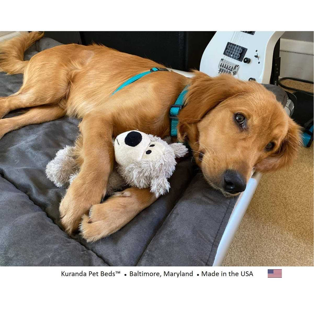 Pet Supplies R87515