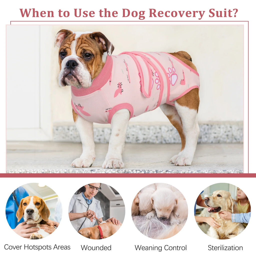 Dog Surgery Recovery Suit, Breathable Abdominal Wound Protector, Anti Licking Recovery Costume X494310