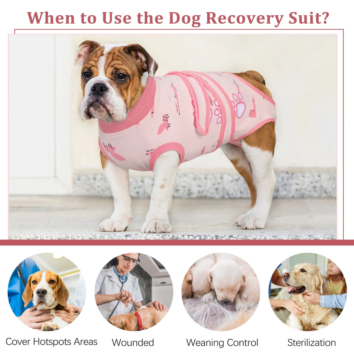 Dog Surgery Recovery Suit, Breathable Abdominal Wound Protector, Anti Licking Recovery Costume X494310
