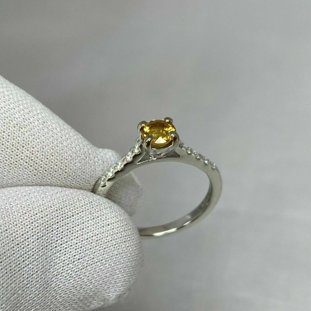 18k White Gold Plated Sapphire Diamond Ring W1879