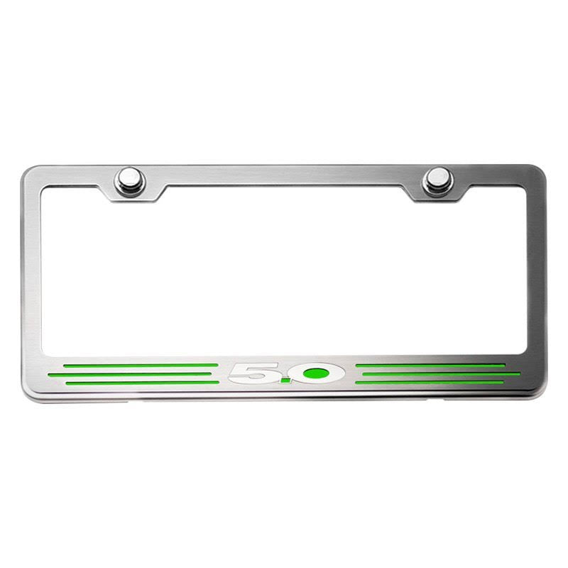 Carbon Fiber Rear Tag Frame V5904