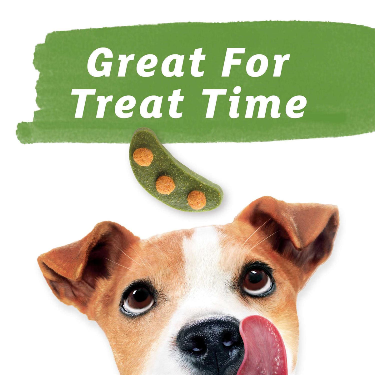Baked Delights Dog Treats N828