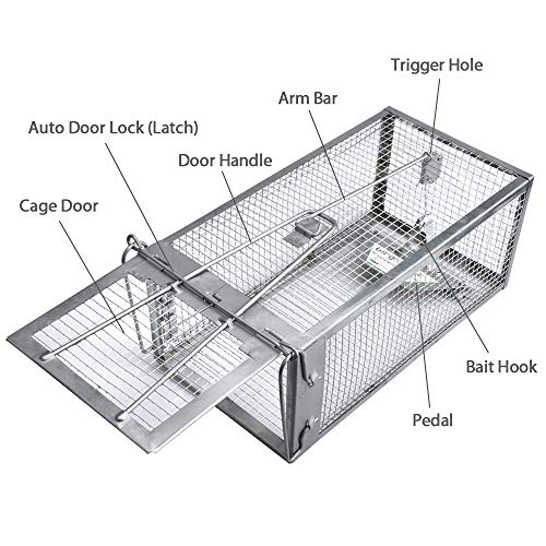 Humane Live Chipmunk Rat Mouse Cage Trap G1898