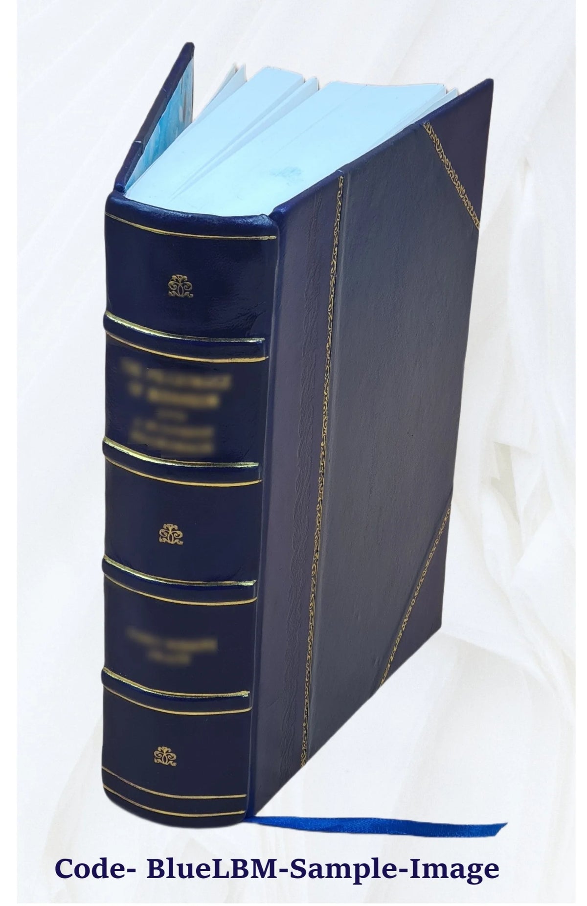 Leather Bound Book T9666