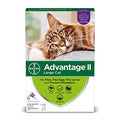 6 Treatment Cats Flea Treatment H830