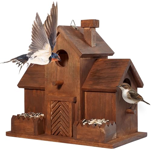 3 Hole Bird House with Bird Feeder W8175