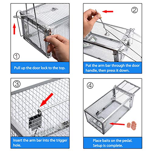 Humane Live Chipmunk Rat Mouse Cage Trap G1898