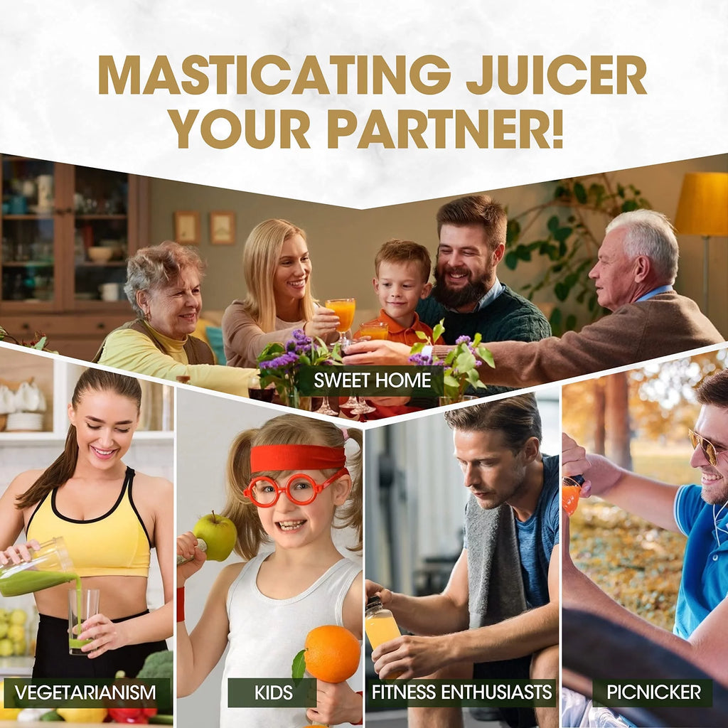 Slow Masticating Cold Press Juicer D29321