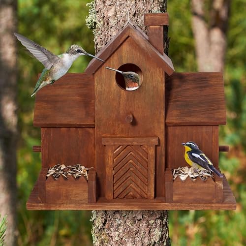 3 Hole Bird House with Bird Feeder W8175