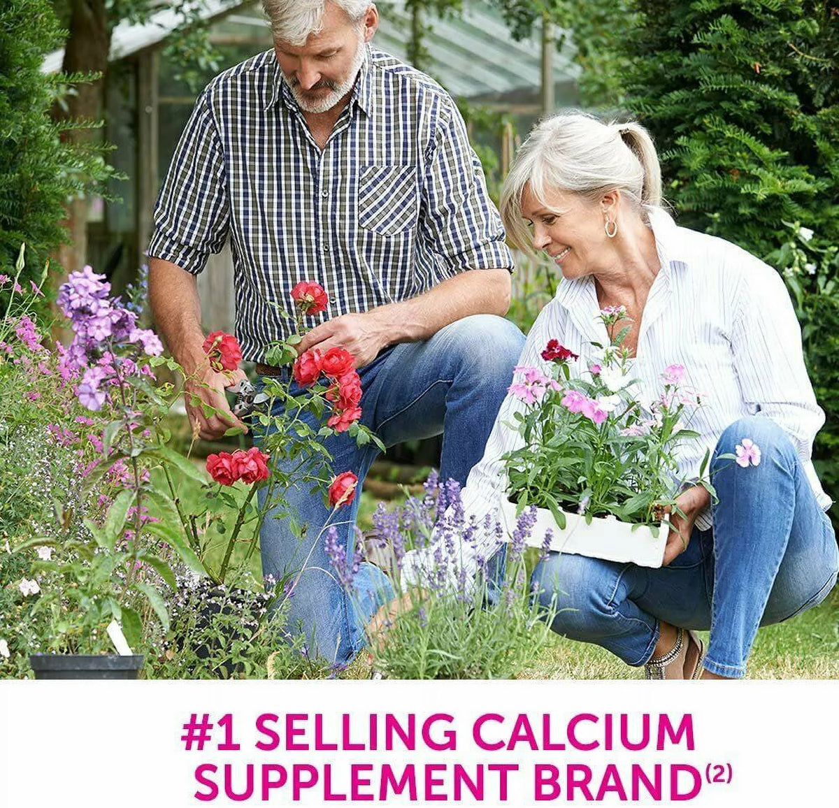 5 Pack Calcium Vitamin D Soft Chews Vanilla Creme 60 Each J302