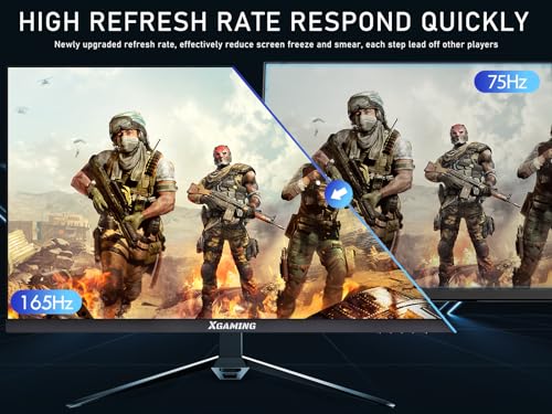 27'' QHD 165Hz 2560 x 1440 Gaming Monitor L503