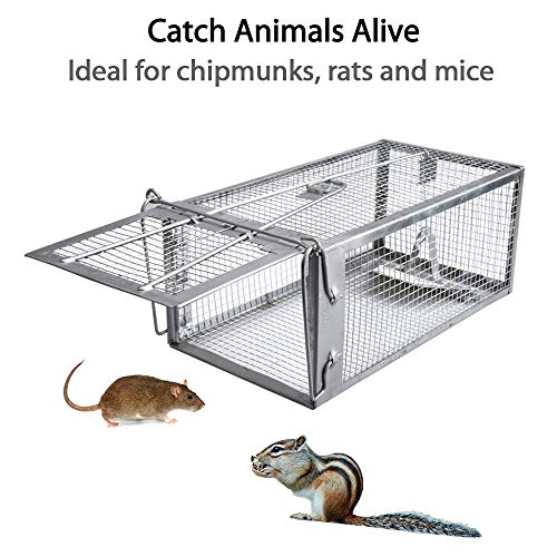 Humane Live Chipmunk Rat Mouse Cage Trap G1898