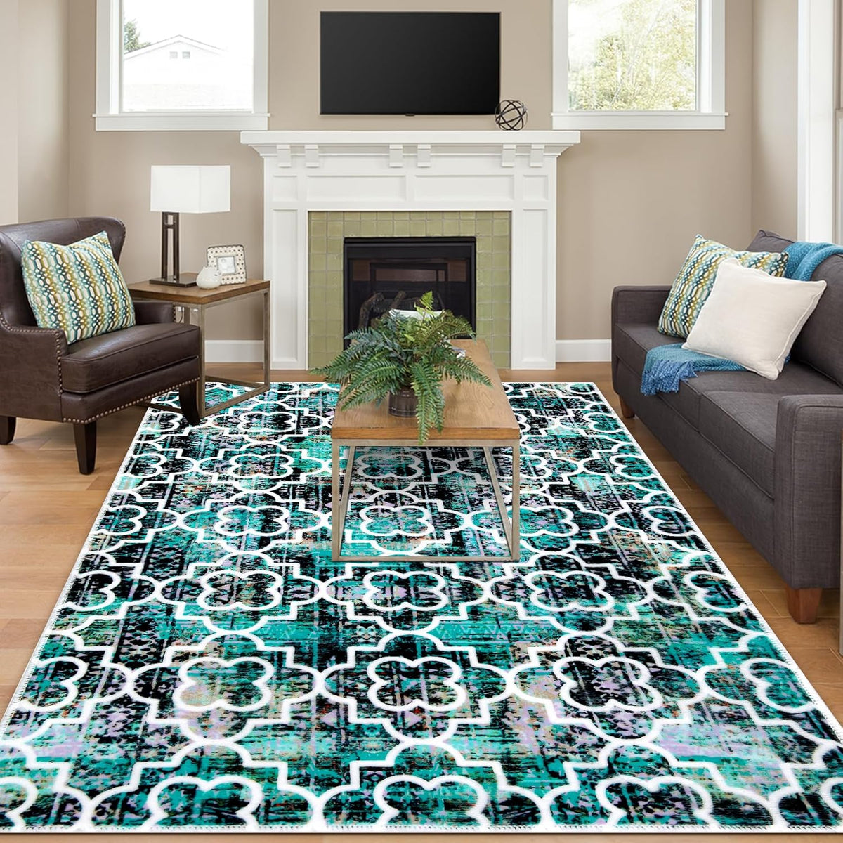 Washable Non-Slip Ultra-Soft 5x7 Area Rug D482