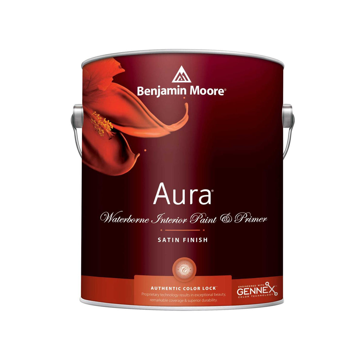 Interior Paint S13379