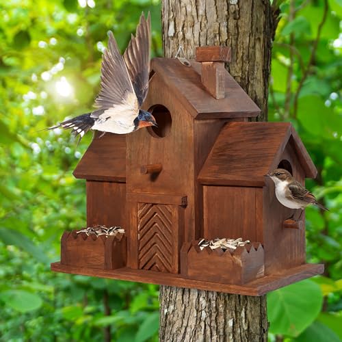 3 Hole Bird House with Bird Feeder W8175