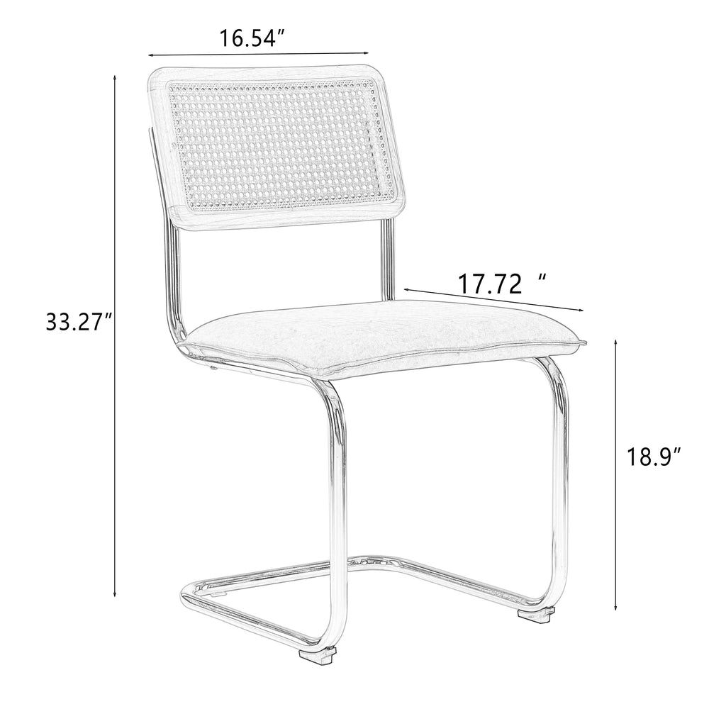 Faux Leather Rattan Dining Chairs Set of 2 with Metal Legs N4069