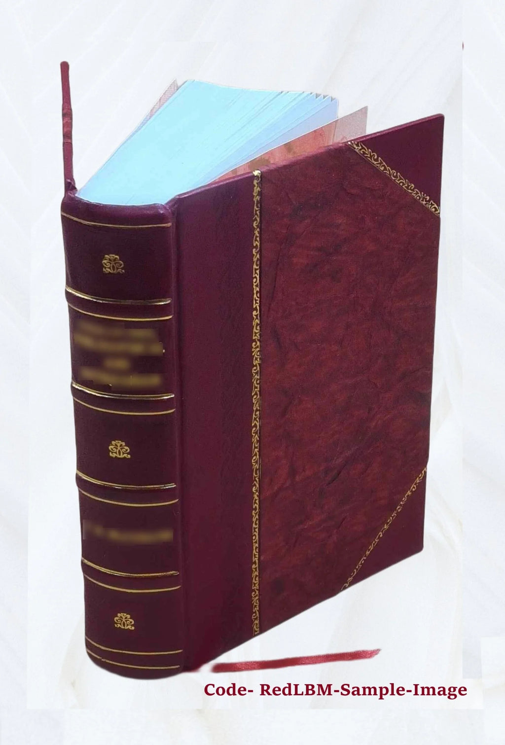 Leather Bound Book T9666