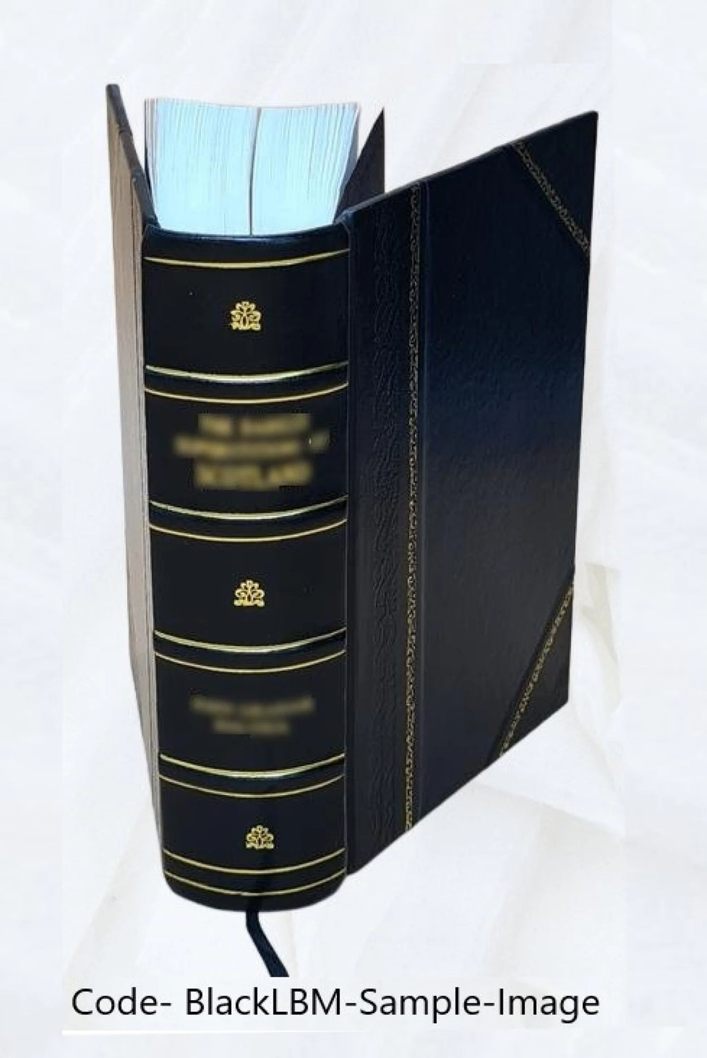 Leather Bound Book T9666