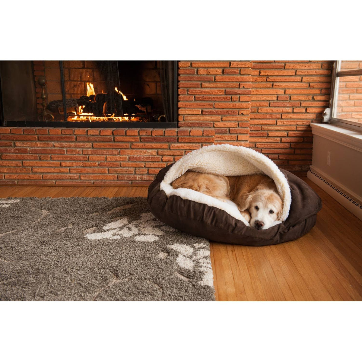 Olive Cozy Cave Pet Bed D5228