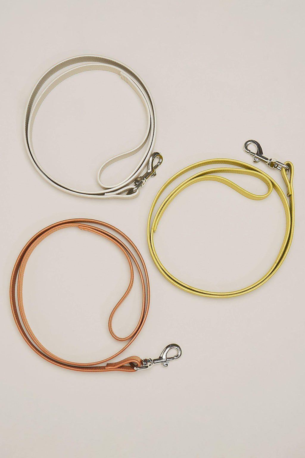 Chartreuse Dog Leash L61036