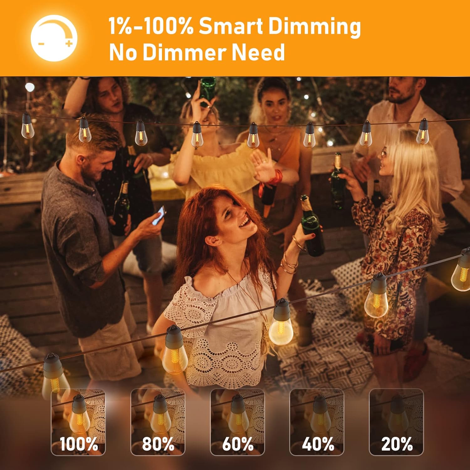 48Ft Outdoor String Lights with 25 Dimmable Edison Vintage LED Bulbs F74017