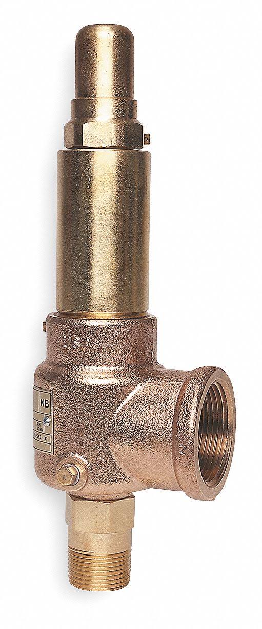 Pop Safety Valve, 1-1/4 x 1-1/2, 125Psi G9850