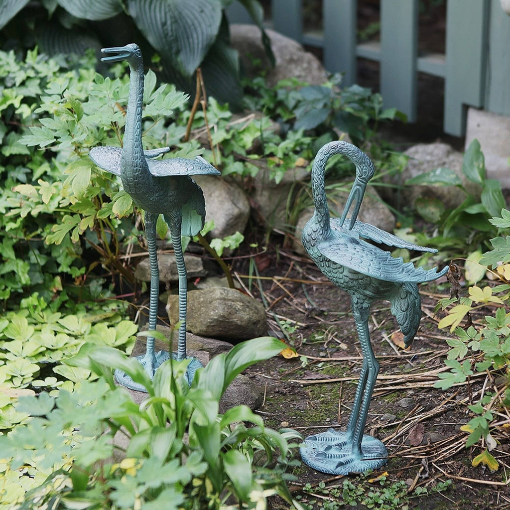 Preening Crane Y25642