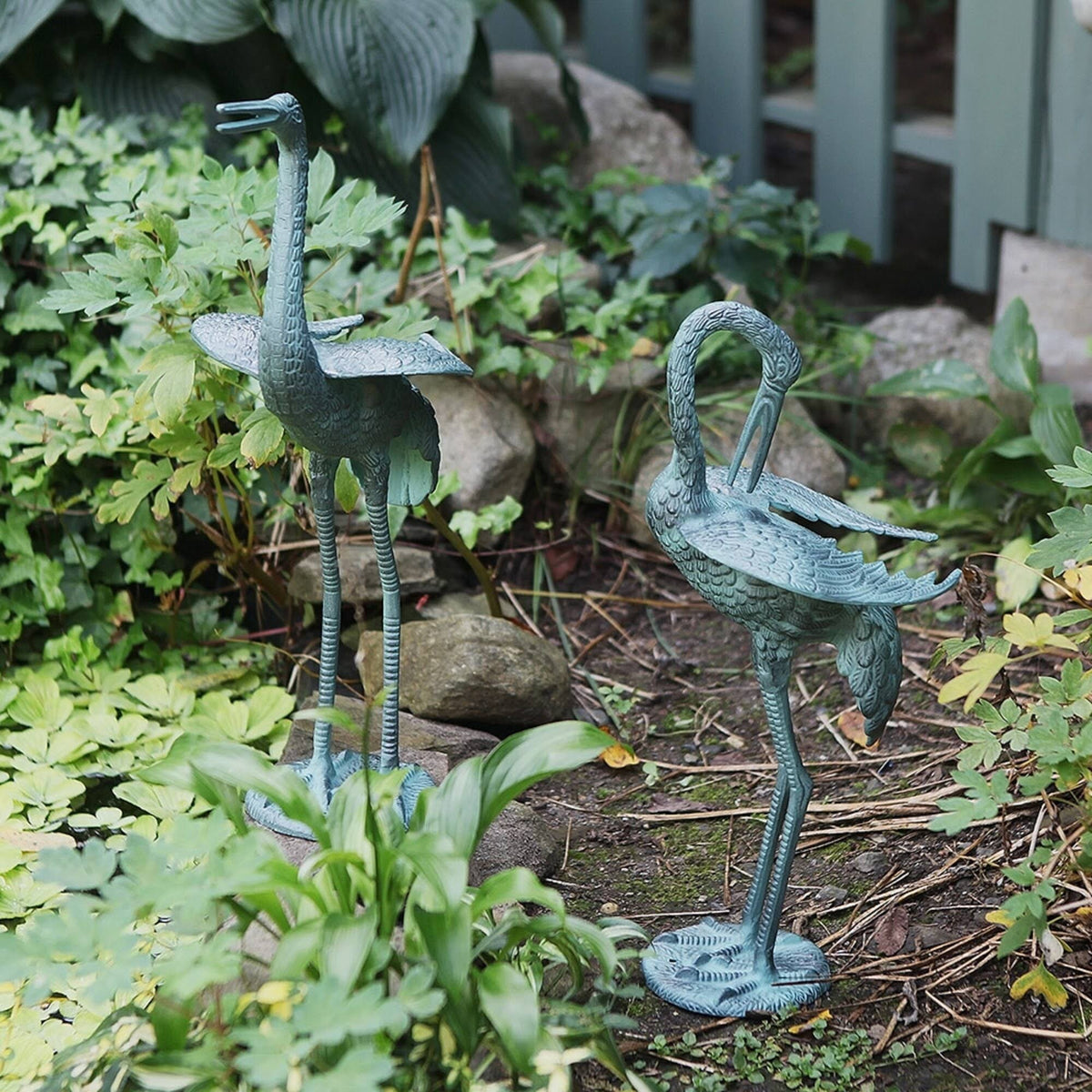 Preening Crane Y25642